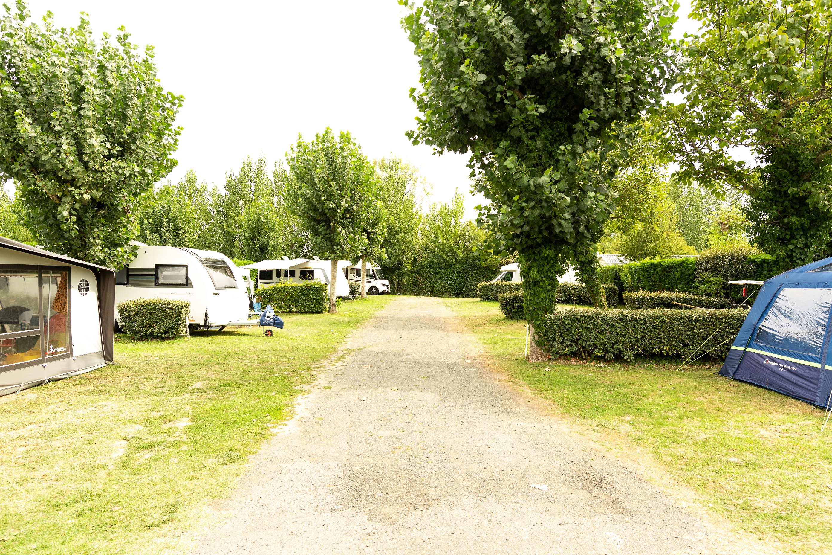 Pitch caravan  + 7.50 m  (water, electricity, drain, 2 people and 1 vehicle) 1/2 Ppl. 1/2 pers.