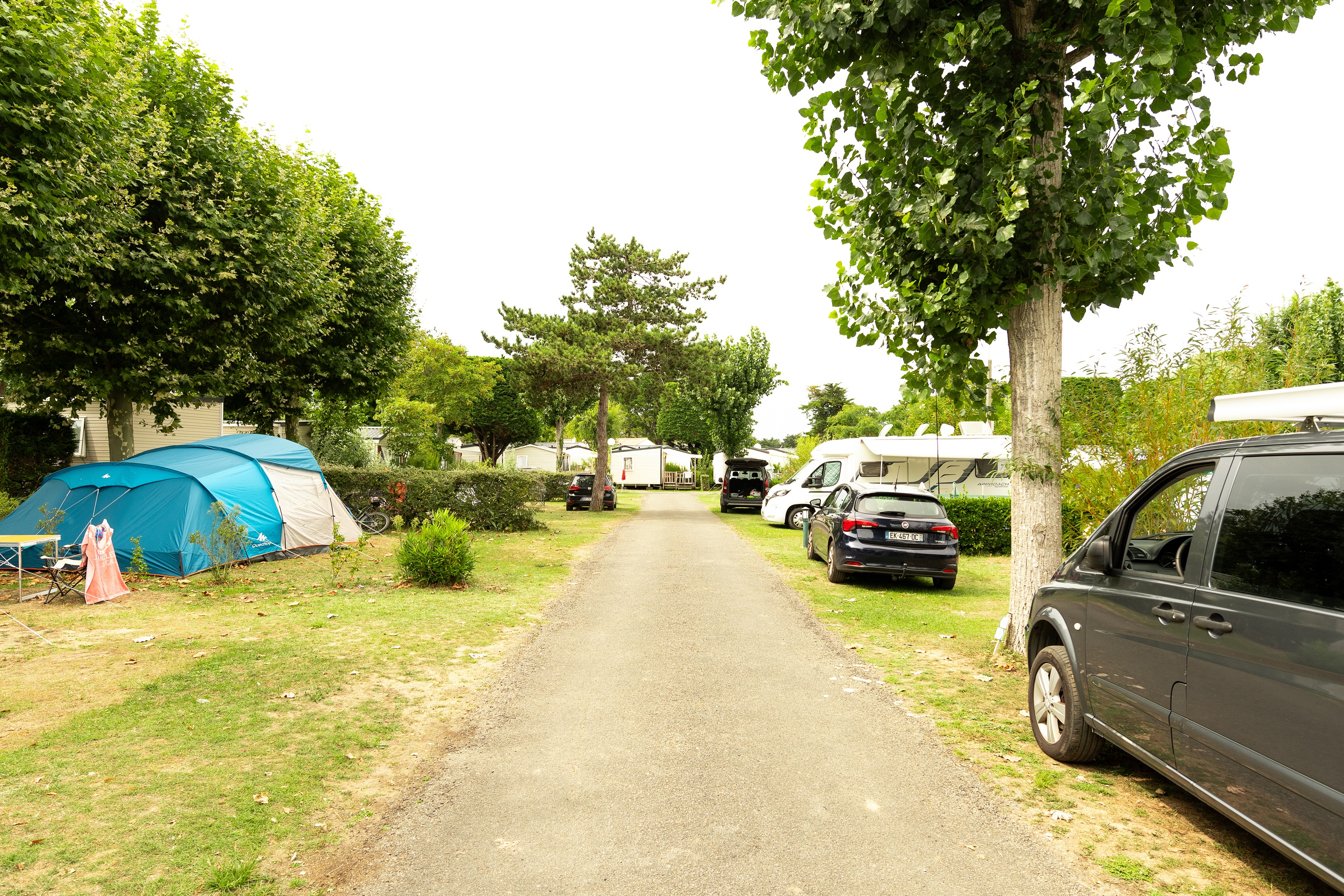 Standplaats tent of vouwcaravan + 7m50 (water, elektriciteit, 1 voertuig) 1/2 pers.