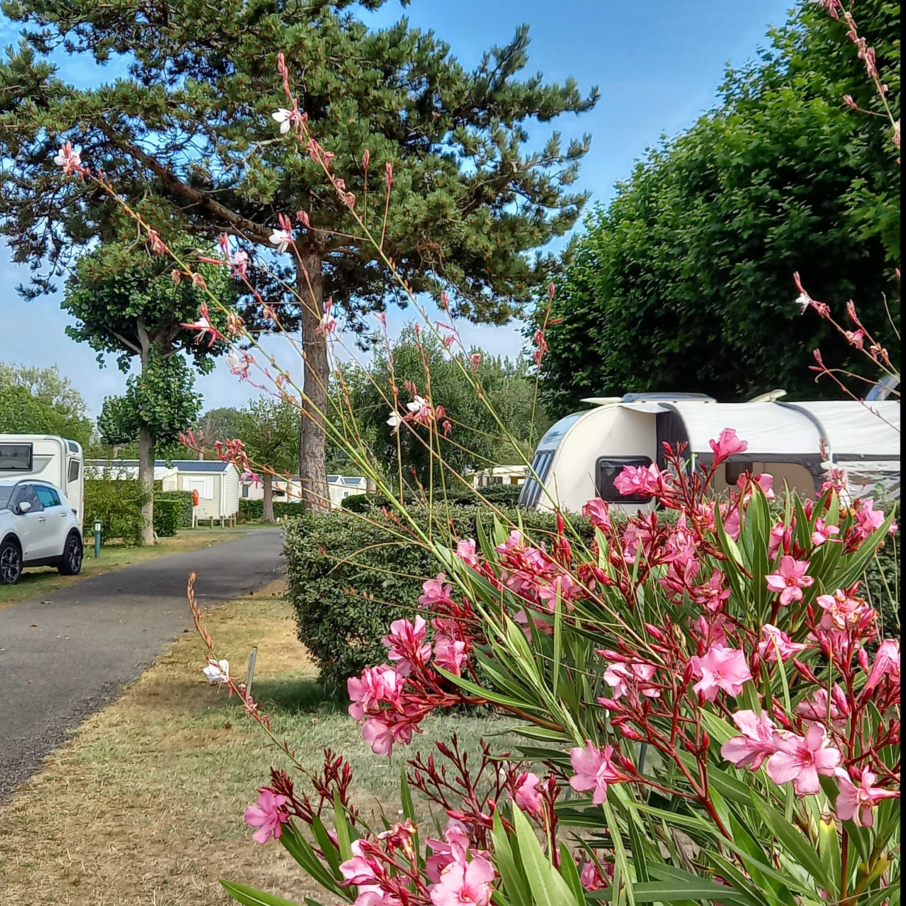 Emplacement caravane + de 7m50 (1 vehicule, eau, electricité, évacuation eaux usées) 1/2 Pers.